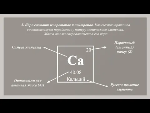 5. Ядро состоит из протонов и нейтронов. Количество протонов соответствует порядковому номеру