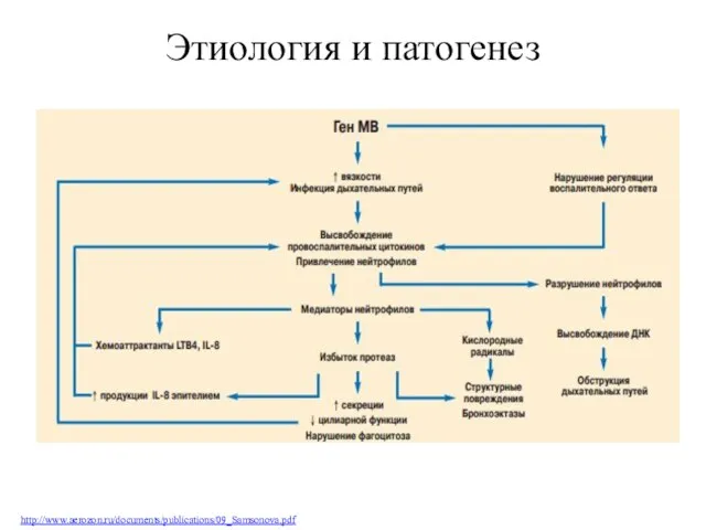 Этиология и патогенез http://www.aerozon.ru/documents/publications/09_Samsonova.pdf