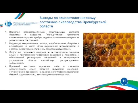 Выводы по эпизоотологическому состоянию пчеловодства Оренбургской области Наиболее распространёнными заболеваниями являются нозематоз