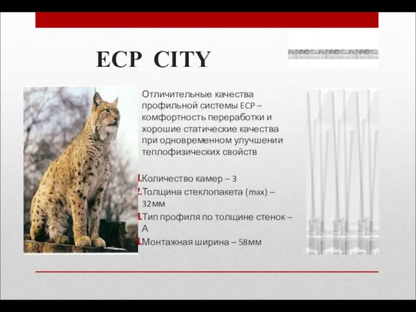 ECP CITY Отличительные качества профильной системы ECP – комфортность переработки и хорошие
