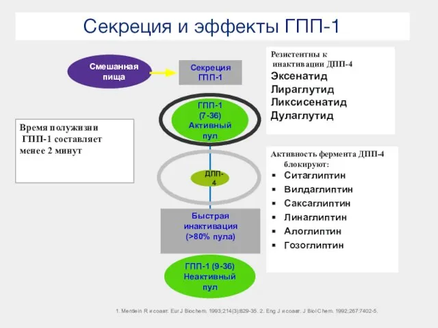 Секреция и эффекты ГПП-1 1. Mentlein R и соавт. Eur J Biochem.