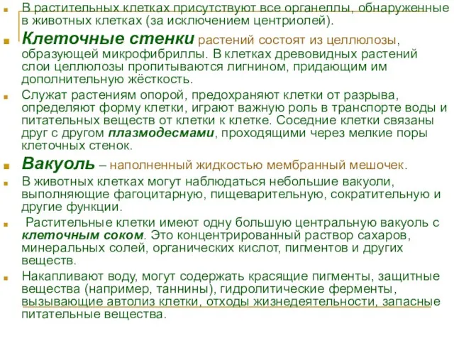 В растительных клетках присутствуют все органеллы, обнаруженные в животных клетках (за исключением