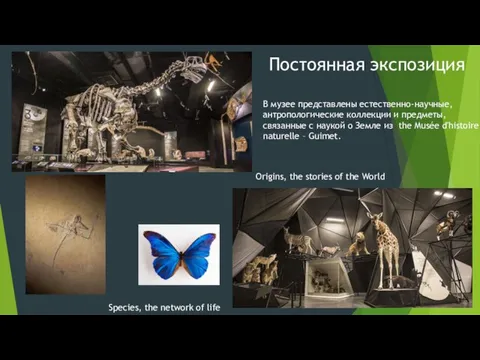 Origins, the stories of the World Species, the network of life Постоянная