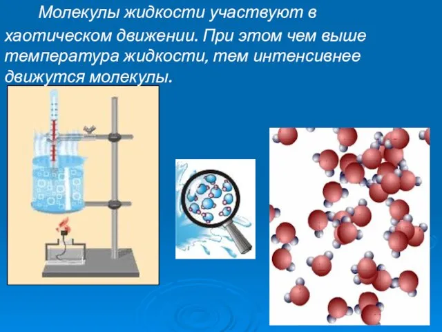 Молекулы жидкости участвуют в хаотическом движении. При этом чем выше температура жидкости, тем интенсивнее движутся молекулы.
