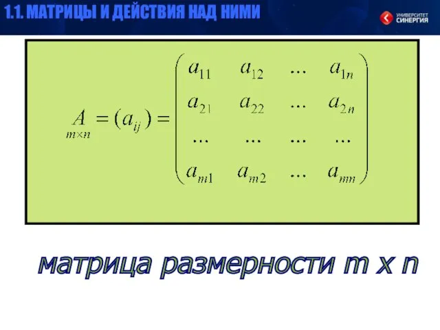 матрица размерности m x n 1.1. МАТРИЦЫ И ДЕЙСТВИЯ НАД НИМИ