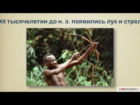 В XII тысячелетии до н. э. появились лук и стрелы