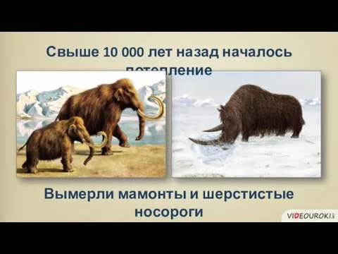 Свыше 10 000 лет назад началось потепление Вымерли мамонты и шерстистые носороги