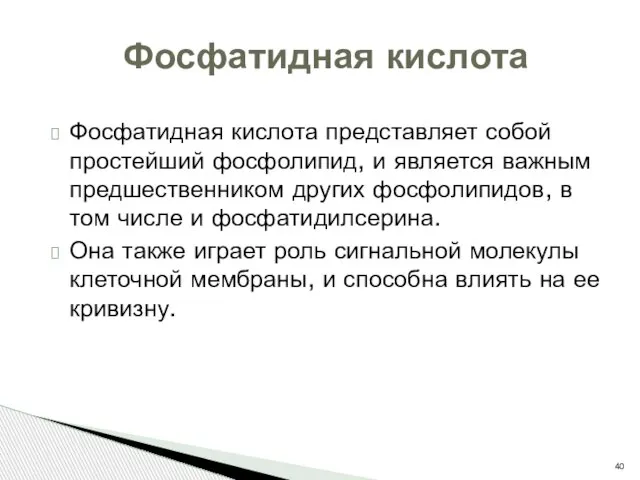 Фосфатидная кислота представляет собой простейший фосфолипид, и является важным предшественником других фосфолипидов,