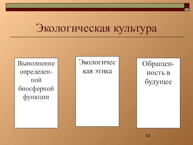 Экологическая культура Выполнение определен-ной биосферной функции Экологическая этика Обращен-ность в будущее