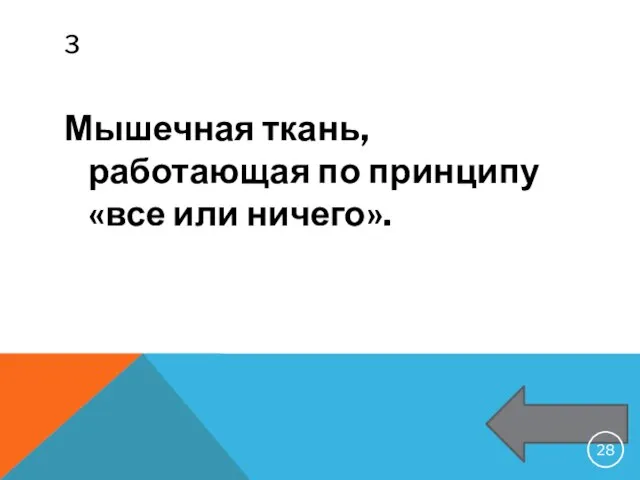 3 Мышечная ткань, работающая по принципу «все или ничего».