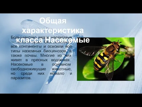 Большинство видов насекомых — жители суши. Они населяют все континенты и освоили