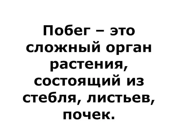 Побег – это сложный орган растения, состоящий из стебля, листьев, почек.