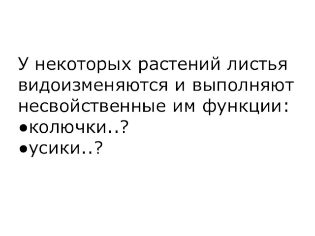 У некоторых растений листья видоизменяются и выполняют несвойственные им функции: ●колючки..? ●усики..?