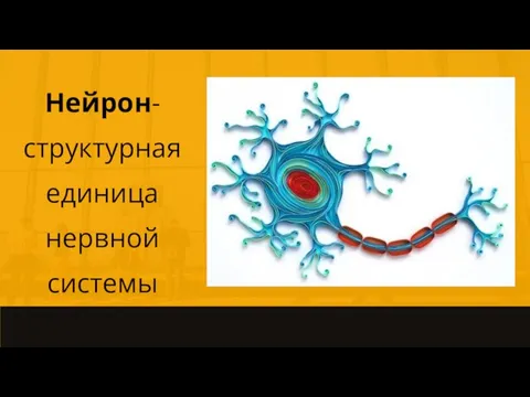 Нейрон- структурная единица нервной системы