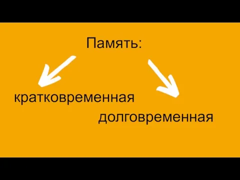 Память: кратковременная долговременная