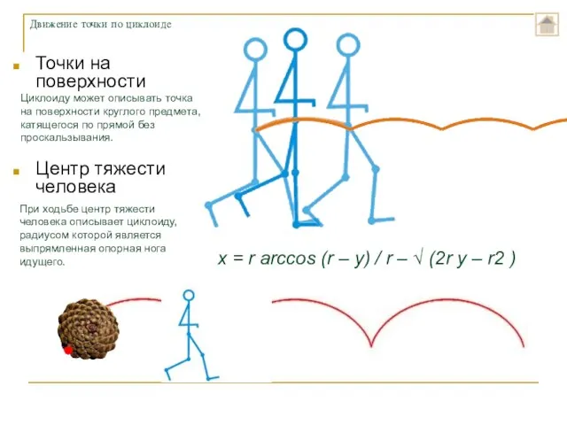 Точки на поверхности Центр тяжести человека Движение точки по циклоиде Циклоиду может