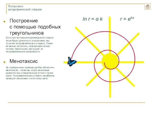 Построение с помощью подобных треугольников Менотаксис Построение логарифмической спирали Если при построении