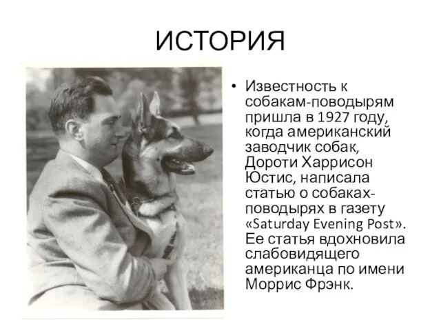 ИСТОРИЯ Известность к собакам-поводырям пришла в 1927 году, когда американский заводчик собак,