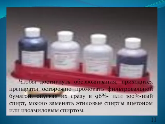 Чтобы достигнуть обезвоживания, приходится препараты осторожно промокать фильтровальной бумагой, опуская их сразу