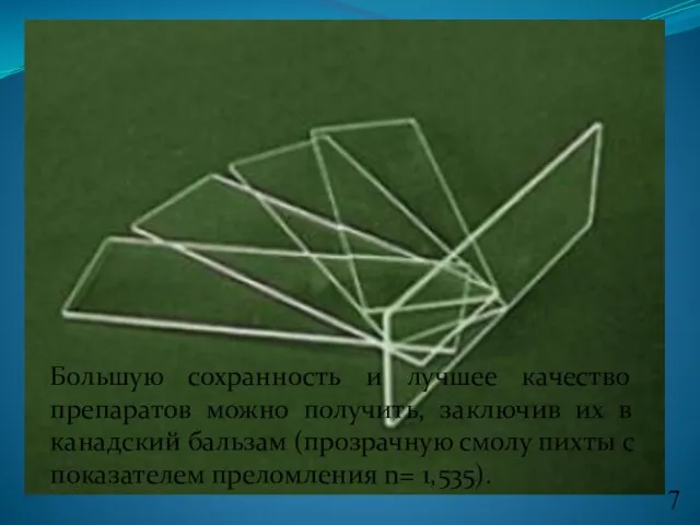 Большую сохранность и лучшее качество препаратов можно получить, заключив их в канадский