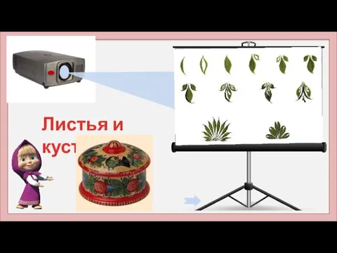 Листья и кустики