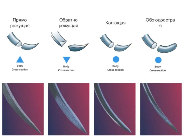 Прямо режущая Обратно режущая Колющая Обоюдоострая