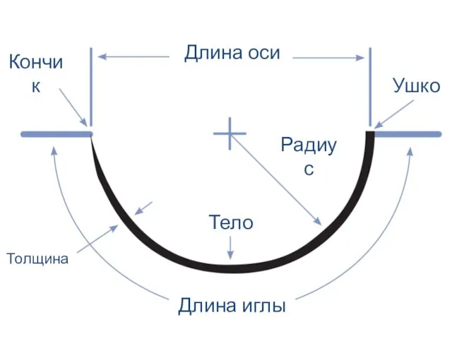 Длина оси Кончик Ушко Радиус Тело Длина иглы Толщина