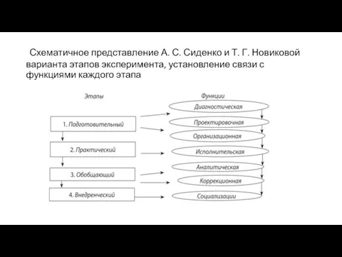 Схематичное представление А. С. Сиденко и Т. Г. Новиковой варианта этапов эксперимента,