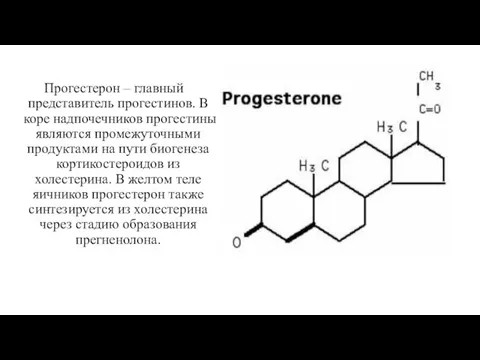 Прогестерон – главный представитель прогестинов. В коре надпочечников прогестины являются промежуточными продуктами