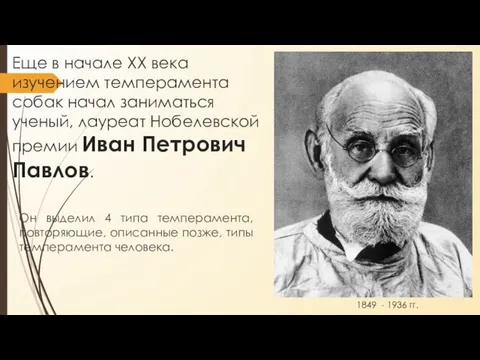 Еще в начале ХХ века изучением темперамента собак начал заниматься ученый, лауреат