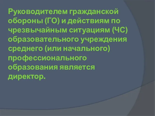 Руководителем гражданской обороны (ГО) и действиям по чрезвычайным ситуациям (ЧС) образовательного учреждения