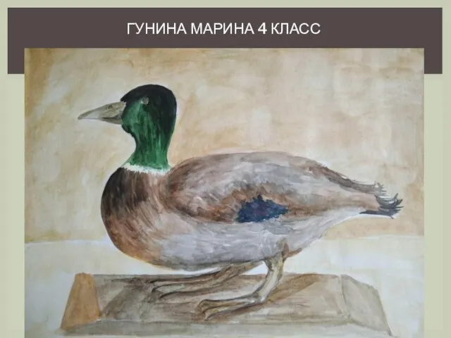 ГУНИНА МАРИНА 4 КЛАСС