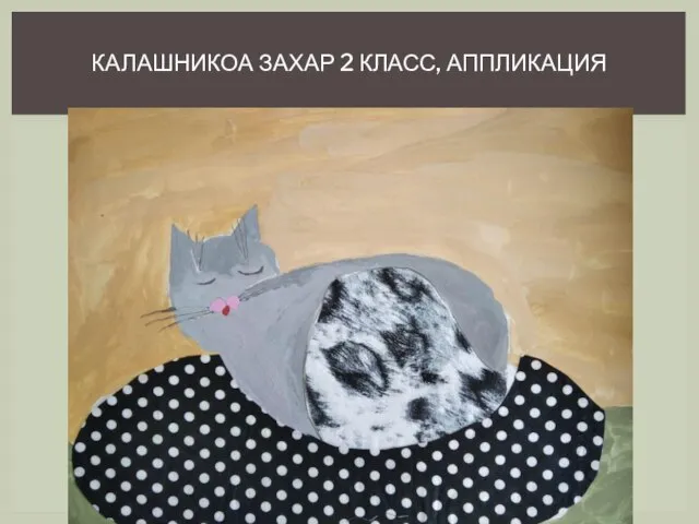 КАЛАШНИКОА ЗАХАР 2 КЛАСС, АППЛИКАЦИЯ