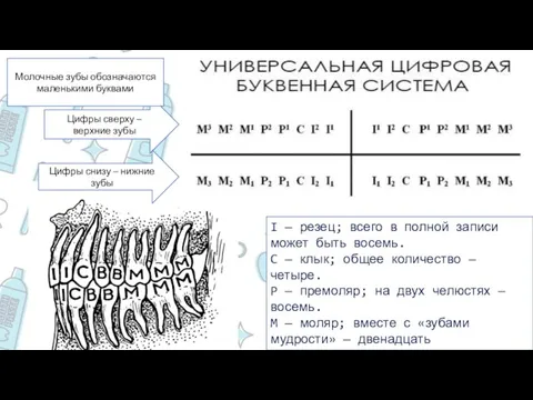 I — резец; всего в полной записи может быть восемь. C —