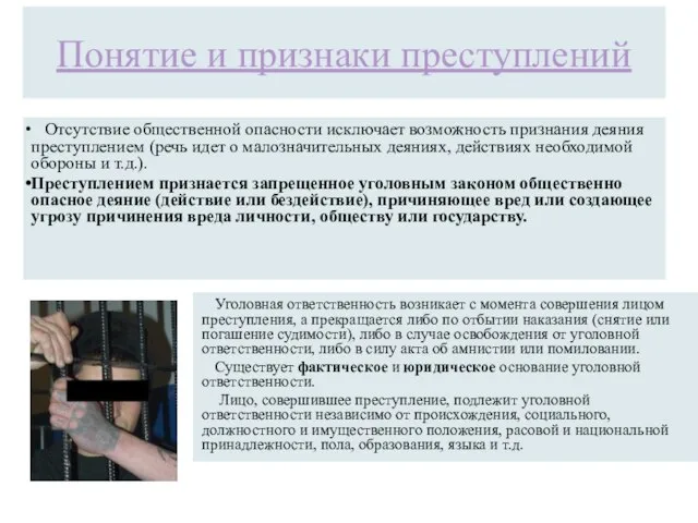 Понятие и признаки преступлений Отсутствие общественной опасности исключает возможность признания деяния преступлением