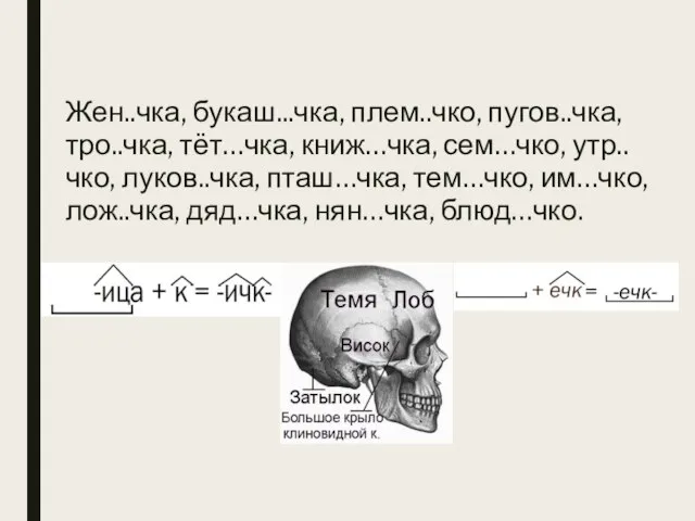 Жен..чка, букаш...чка, плем..чко, пугов..чка, тро..чка, тёт…чка, книж…чка, сем…чко, утр..чко, луков..чка, пташ…чка, тем…чко,