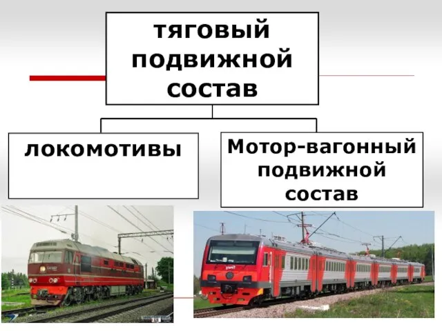 локомотивы Мотор-вагонный подвижной состав тяговый подвижной состав