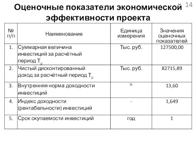 Оценочные показатели экономической эффективности проекта