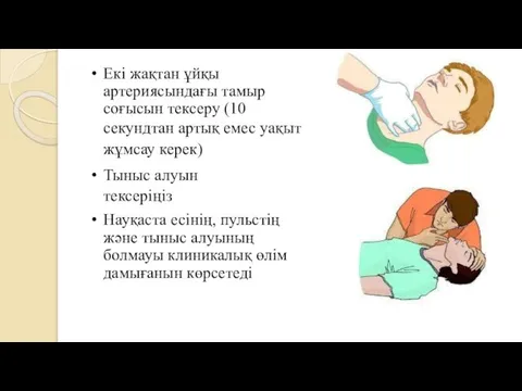 Екі жақтан ұйқы артериясындағы тамыр соғысын тексеру (10 секундтан артық емес уақыт