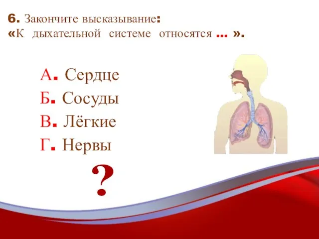 6. Закончите высказывание: «К дыхательной системе относятся … ». А. Сердце Б.