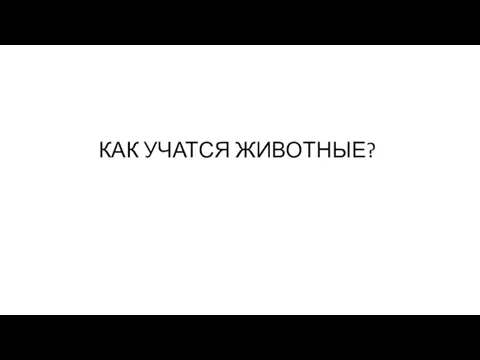 КАК УЧАТСЯ ЖИВОТНЫЕ?