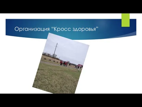 Организация “Кросс здоровья”