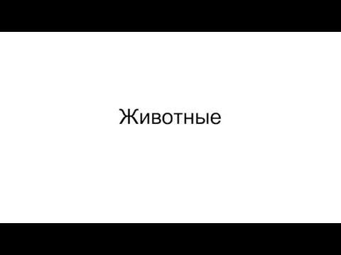 Животные