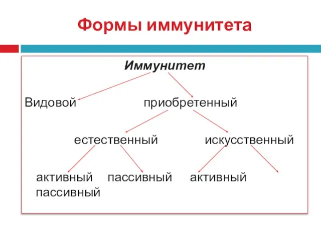 Формы иммунитета Иммунитет Видовой приобретенный естественный искусственный активный пассивный активный пассивный