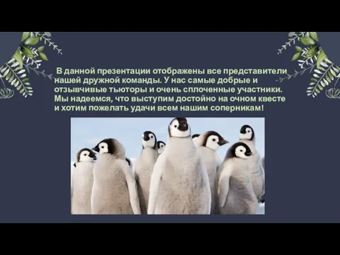 В данной презентации отображены все представители нашей дружной команды. У нас самые