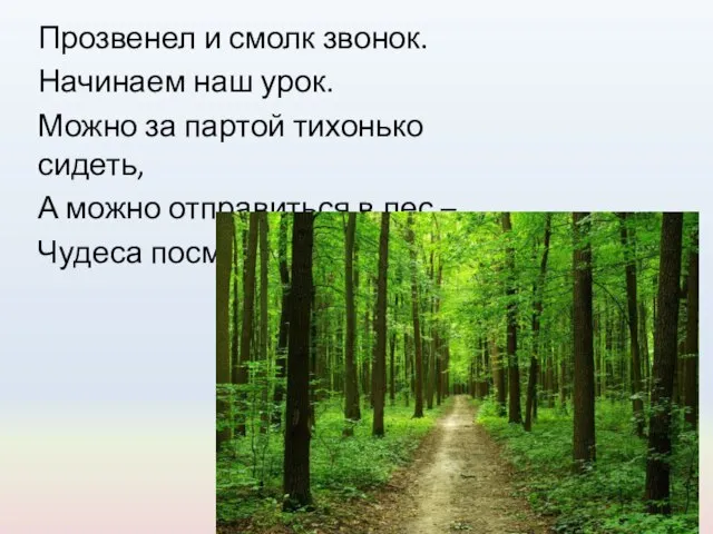 Прозвенел и смолк звонок. Начинаем наш урок. Можно за партой тихонько сидеть,