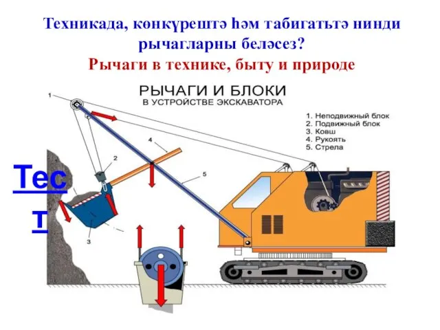 Техникада, көнкүрештә һәм табигатьтә нинди рычагларны беләсез? Рычаги в технике, быту и природе Тест