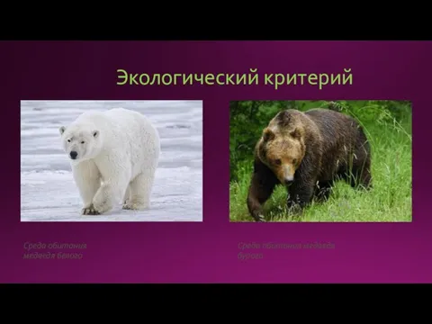 Экологический критерий Среда обитания медведя белого Среда обитания медведя бурого
