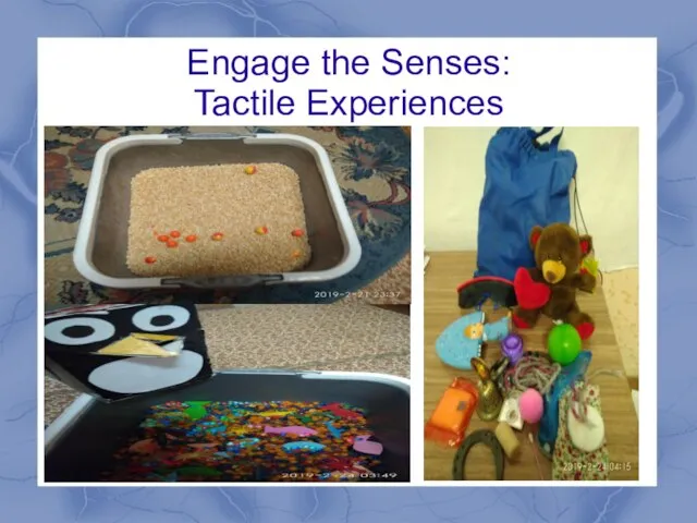 Engage the Senses: Tactile Experiences