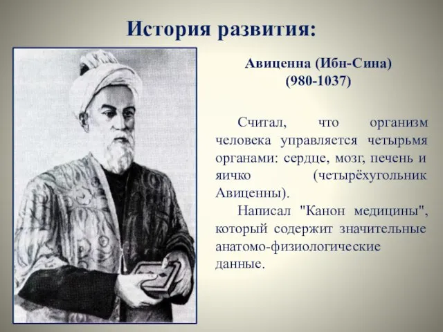 История развития: Авиценна (Ибн-Сина) (980-1037) Считал, что организм человека управляется четырьмя органами: